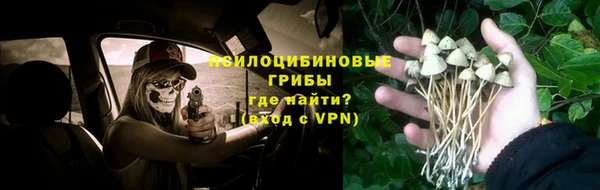 PSILOCYBIN Володарск