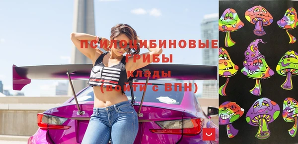 винт Верея