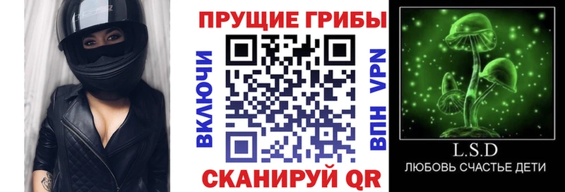 Псилоцибиновые грибы GOLDEN TEACHER  что такое   Новороссийск 